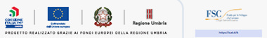 Banner FSC